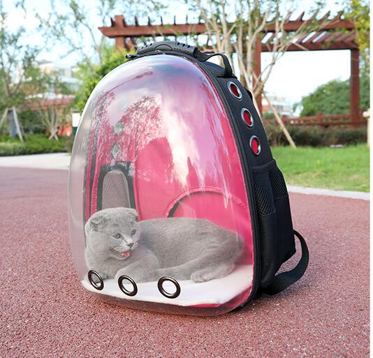 Clear Pet Backpack