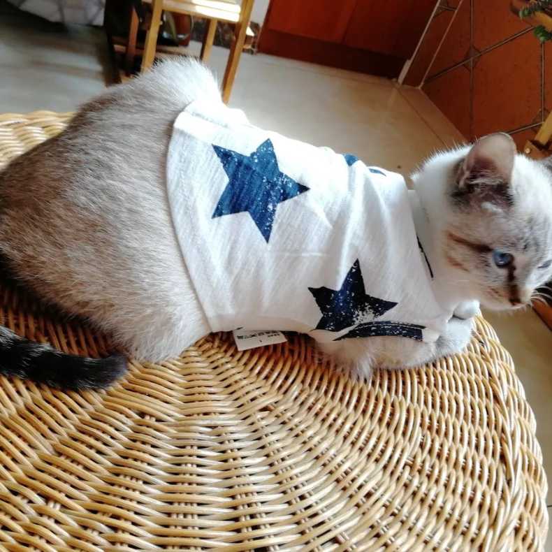 Cute Pet Clothing