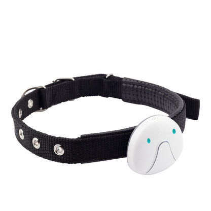 Smart GPS Pet Tracker