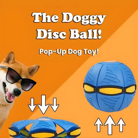 Interactive Doggy Disc Ball for Energetic Pups