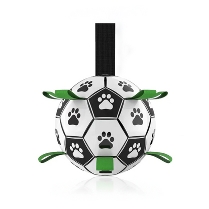 Dog Interactive Ball