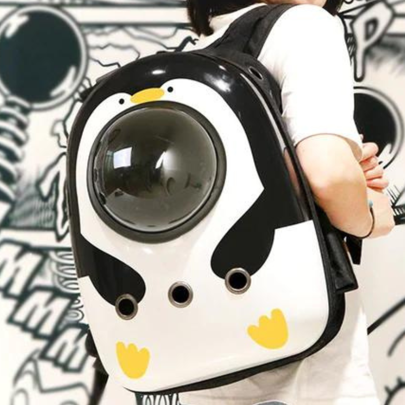 Breathable Space Pet Backpack