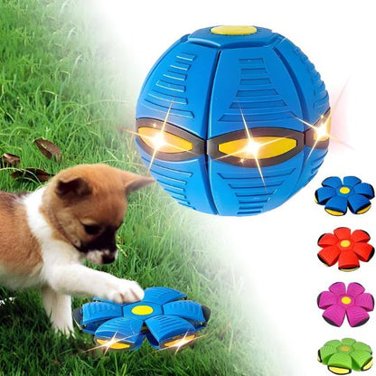 Interactive Doggy Disc Ball for Energetic Pups