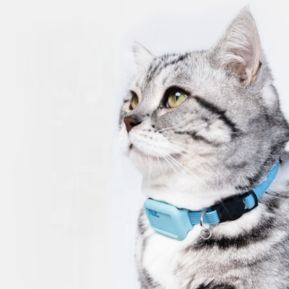 Pet GPS Locator Collar