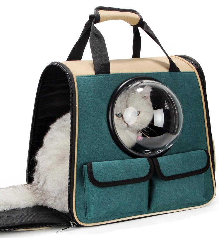 2-in-1 Pet Carrier