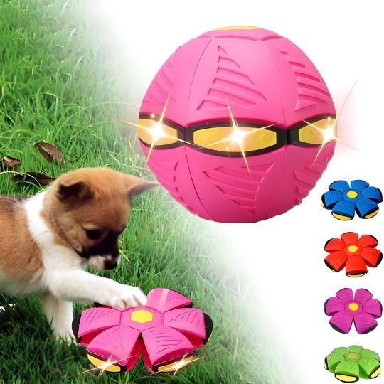 Interactive Doggy Disc Ball for Energetic Pups