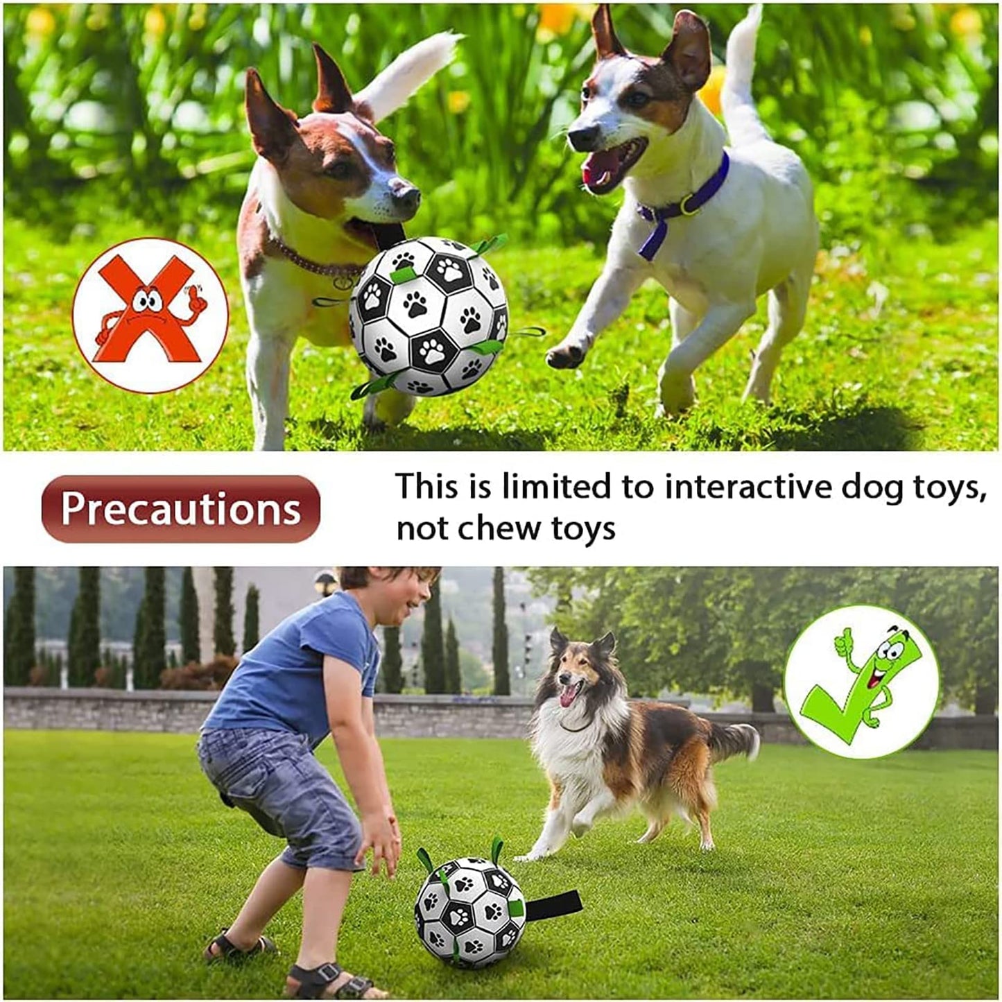 Dog Interactive Ball