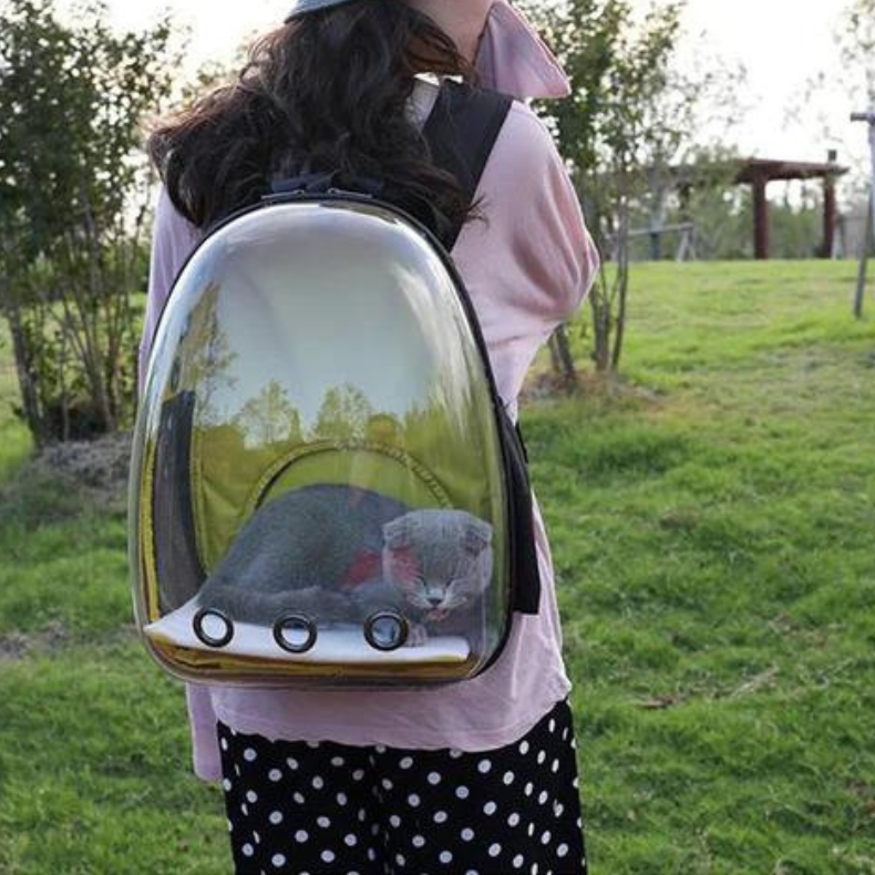 Clear Pet Backpack