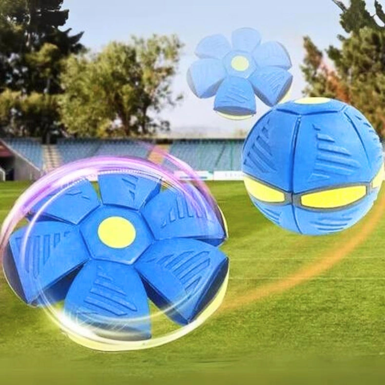 Interactive Doggy Disc Ball for Energetic Pups