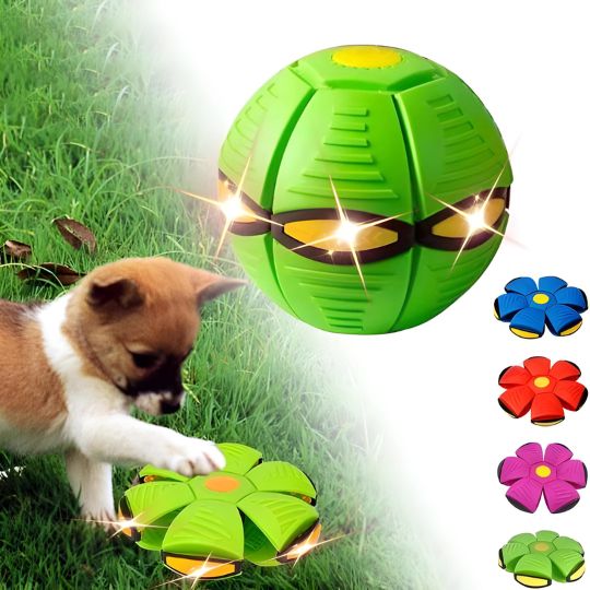 Interactive Doggy Disc Ball for Energetic Pups