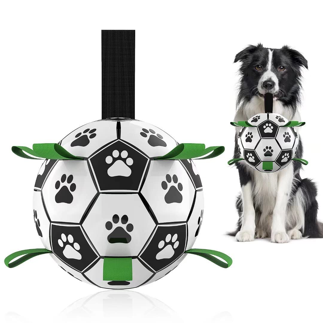 Dog Interactive Ball