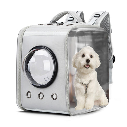 Transparent Space Pet Box