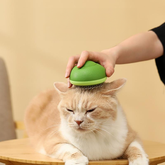 Avocado Pet Brush